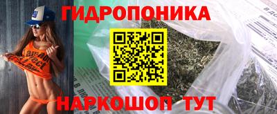 молекула духа Гатчина