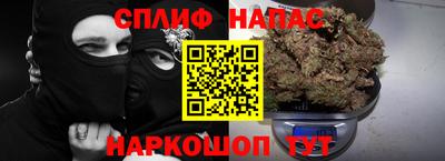 молекула духа Гатчина