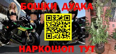 соль курить ск Гай