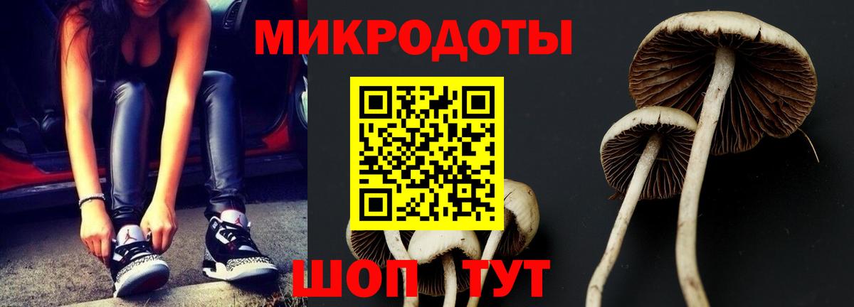 Псилоцибиновые грибы мухоморы Арсеньев