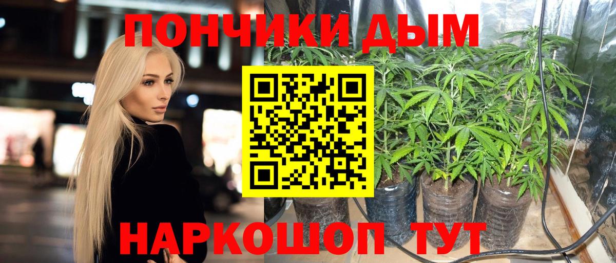 Каннабис Amnesia  Канабис SATIVA & INDICA  Арсеньев  Вход с VPN  Бошки Шишки LSD WEED 
